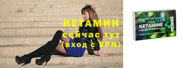 сатива Дмитровск