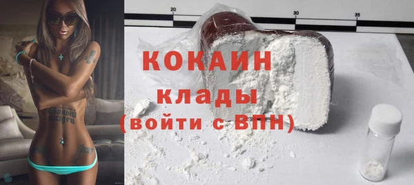 ПСИЛОЦИБИНОВЫЕ ГРИБЫ Дмитриев