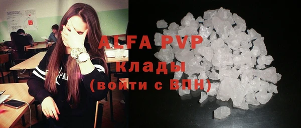 ПСИЛОЦИБИНОВЫЕ ГРИБЫ Дмитриев