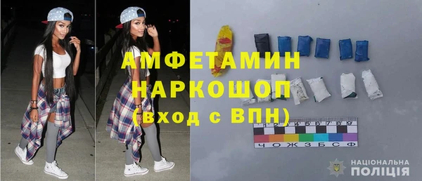 ПСИЛОЦИБИНОВЫЕ ГРИБЫ Дмитриев