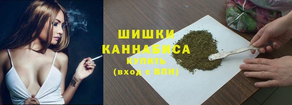 ПСИЛОЦИБИНОВЫЕ ГРИБЫ Дмитриев