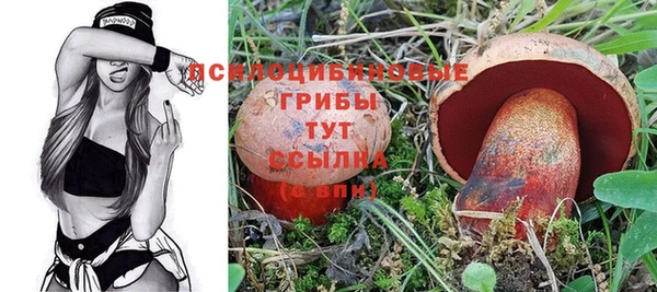 ПСИЛОЦИБИНОВЫЕ ГРИБЫ Дмитриев