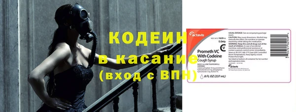 сатива Дмитровск