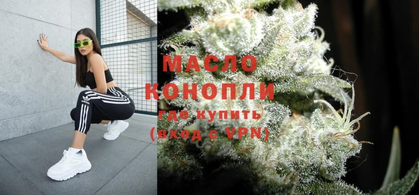 сатива Дмитровск
