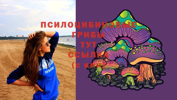 сатива Дмитровск
