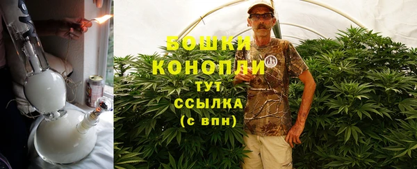 ПСИЛОЦИБИНОВЫЕ ГРИБЫ Дмитриев