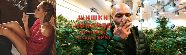 сатива Дмитровск